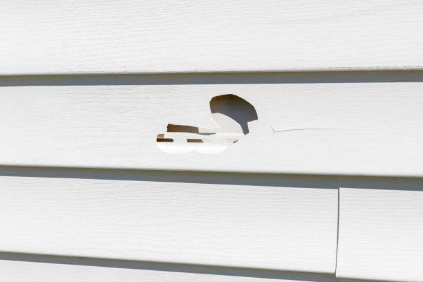 Best Historical Building Siding Restoration  in Liberty, UT